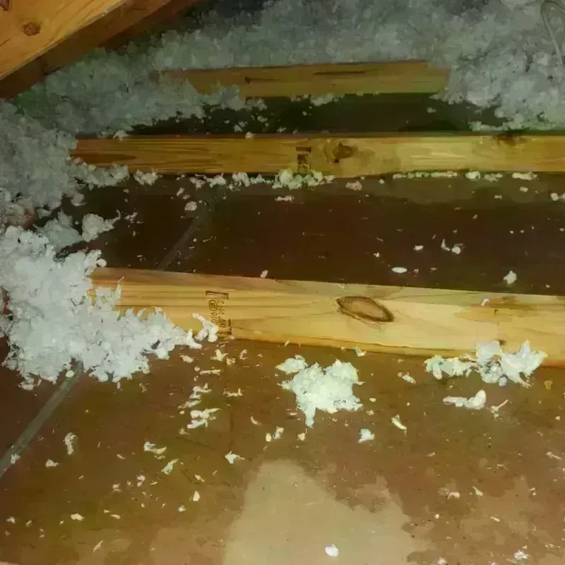 Attic Water Damage in Laton, CA